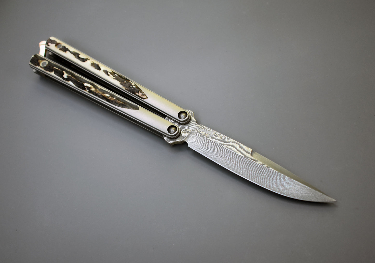 B-Hawk - Stainless Damascus/Stag - SoftTail - Elite EDC line