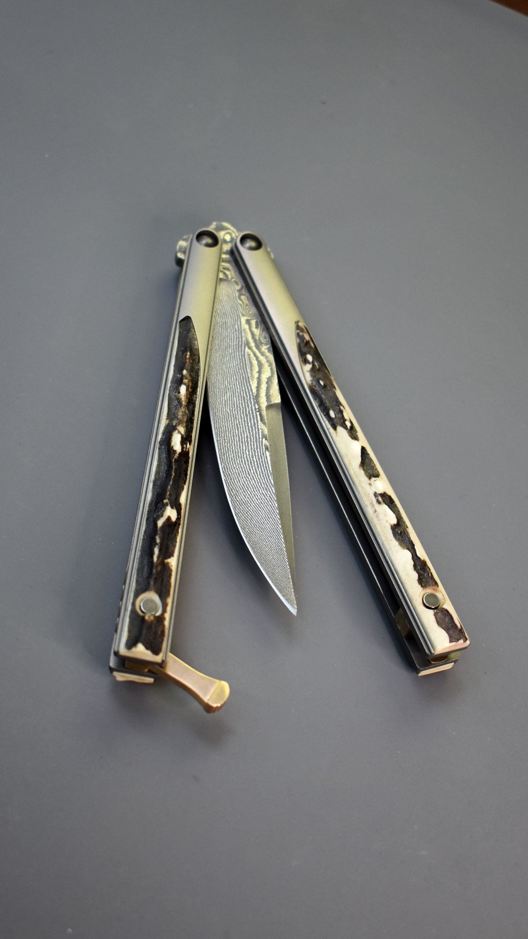 B-Hawk - Stainless Damascus/Stag - SoftTail - Elite EDC line